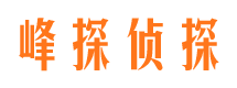 渭滨侦探公司